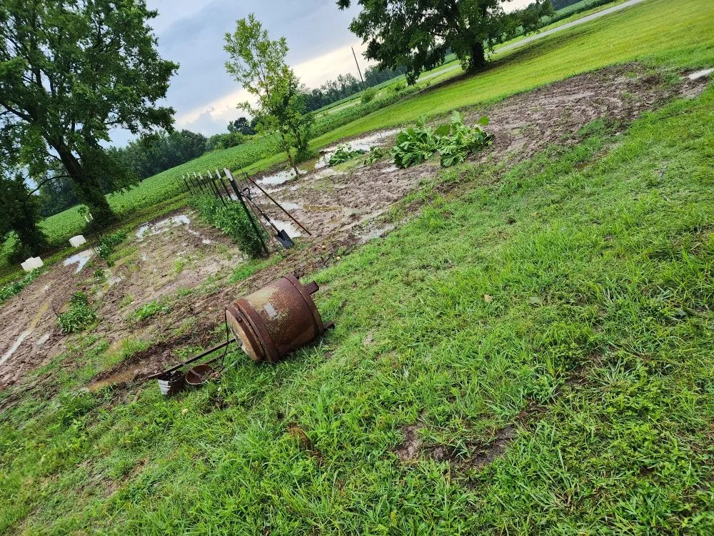 Affordable yard cleanup service in Kenton, TN by Keeping It Reel