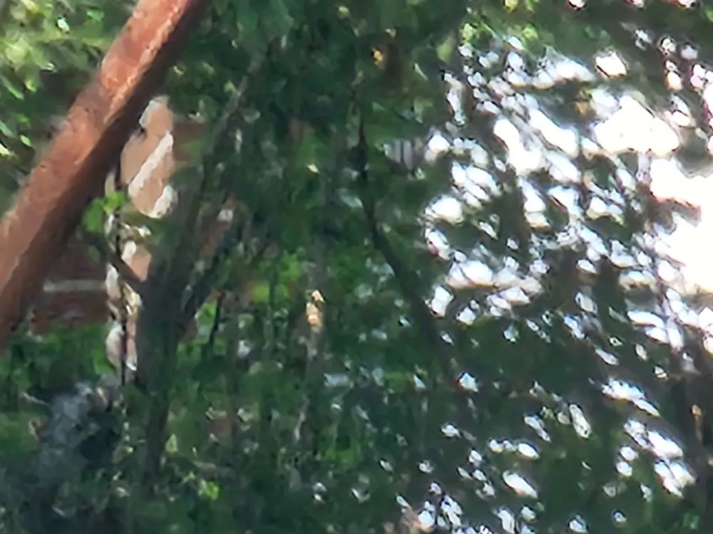 Top-rated outdoor landscaping for beautiful yards in Kenton, TN by Keeping It Reel