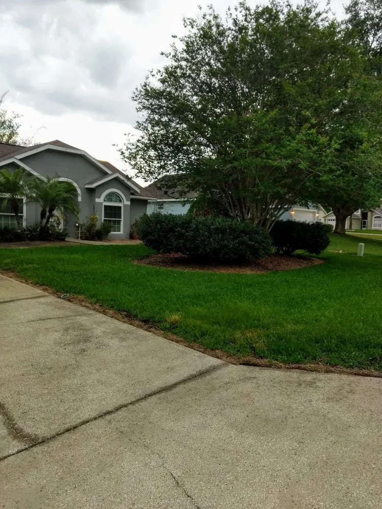 Trusted yard maintenance in Haines City, FL - keeping It trimmed