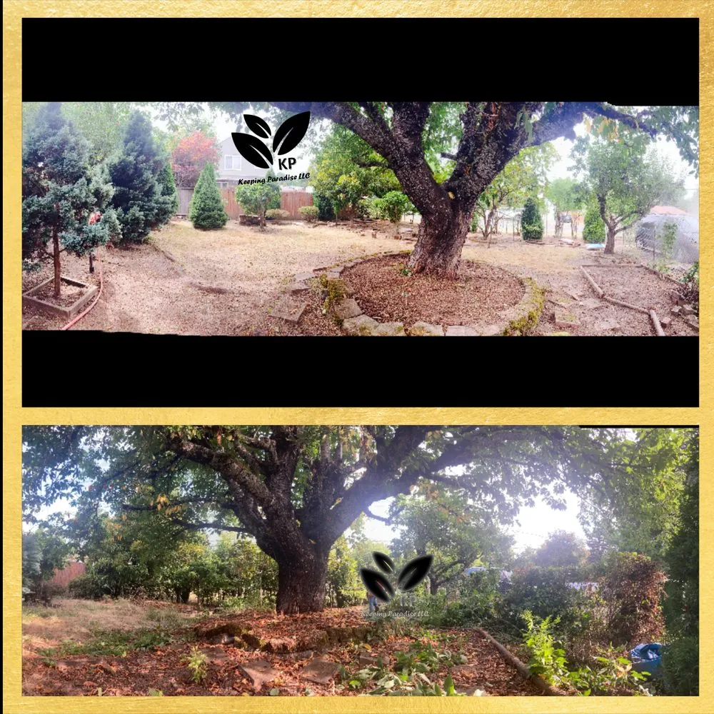 Professional outdoor landscaping for year-round maintenance across Keizer, OR - Keeping Paradise