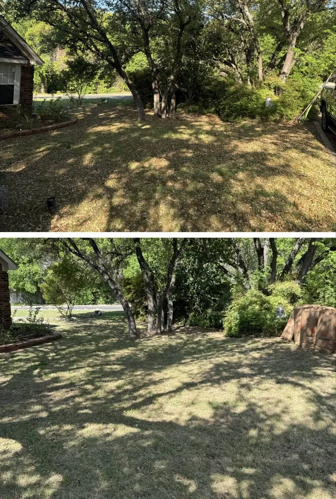 Trusted yard maintenance for homes across Austin, TX - Keeping Texas Clean Landscaping & Junk Removal