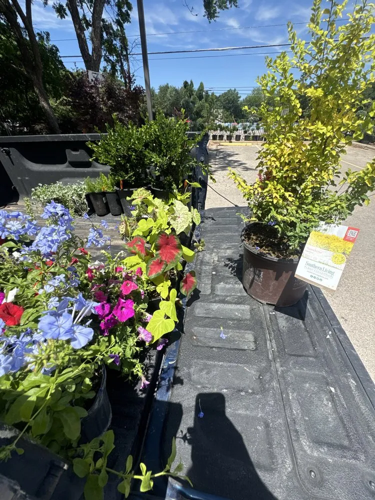 Local landscape installation in Austin, TX by Keeping Texas Clean Landscaping & Junk Removal