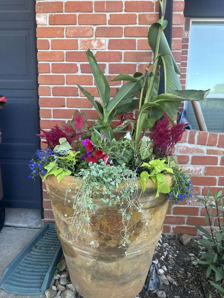 Top-rated landscaping services with custom design across Austin, TX - Keeping Texas Clean Landscaping & Junk Removal