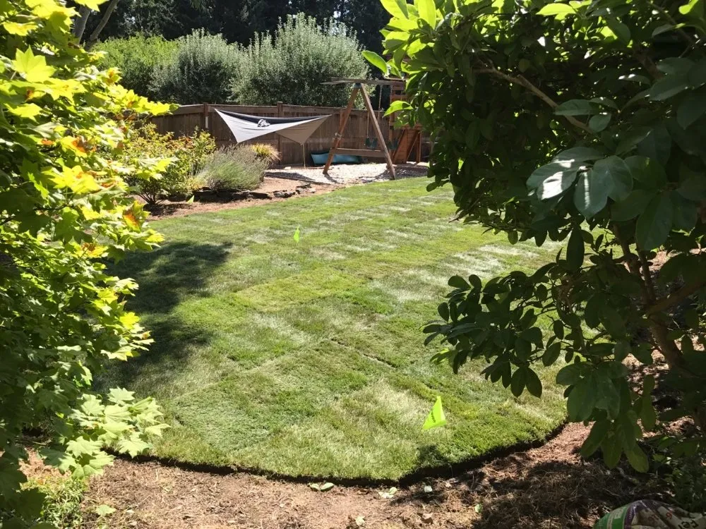 Expert yard maintenance for beautiful yards across Salem, OR - Keeping Up With the Jones