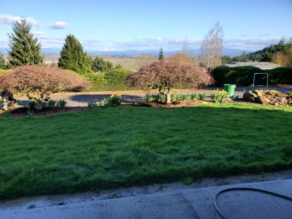 Custom landscape design experts serving Salem, OR - Keeping Up With the Jones