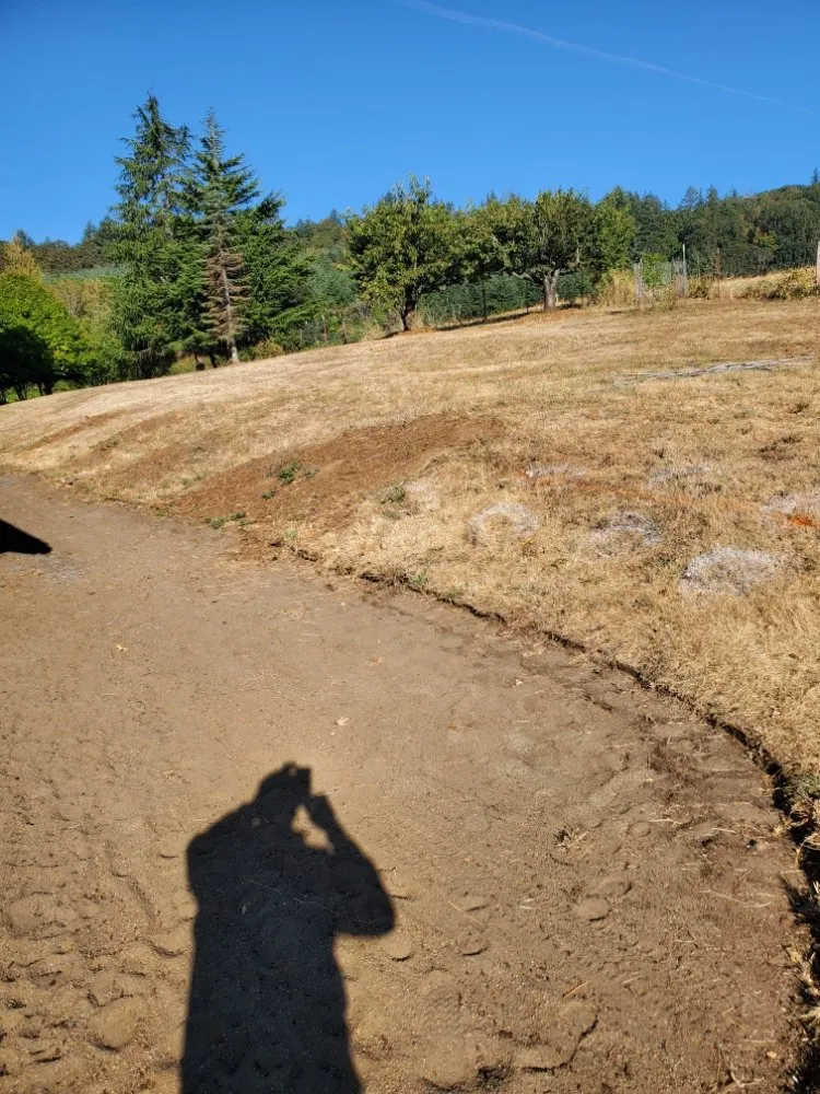 Reliable lawn care service in Salem, OR - Keeping Up With the Jones