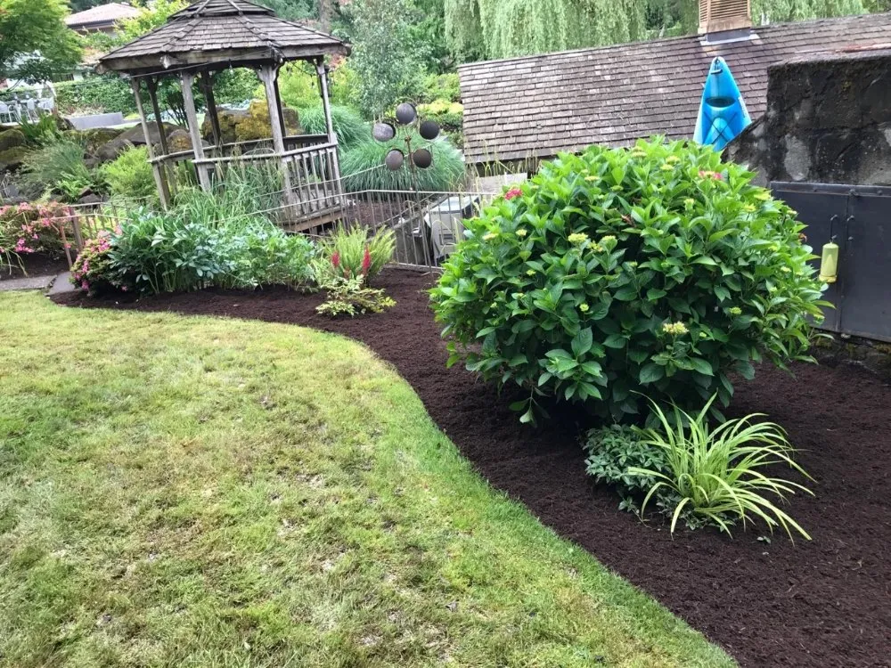 Professional lawn care service in Salem, OR by Keeping Up With the Jones