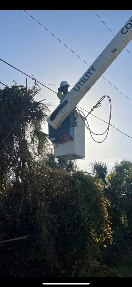 Expert landscape design experts serving Saint Martinville, LA - Kee’s Bush Hogging & Lawn Service