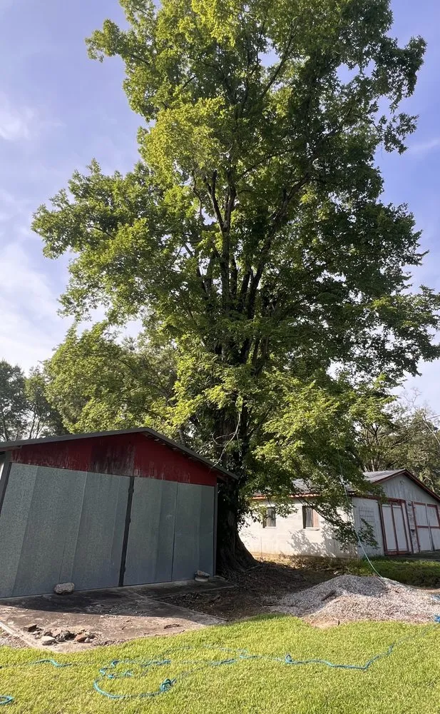 Professional garden landscaping for homes in Saint Martinville, LA by Kee’s Bush Hogging & Lawn Service