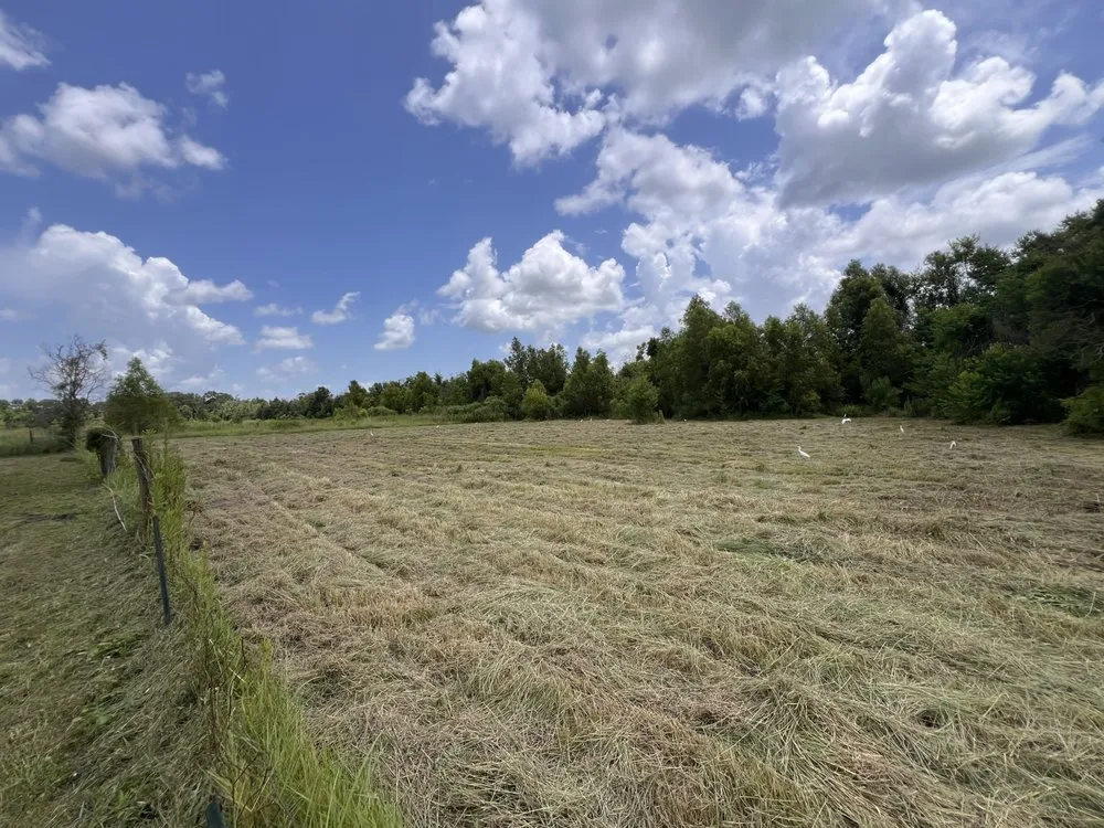 Custom garden landscaping for year-round maintenance in Saint Martinville, LA by Kee’s Bush Hogging & Lawn Service