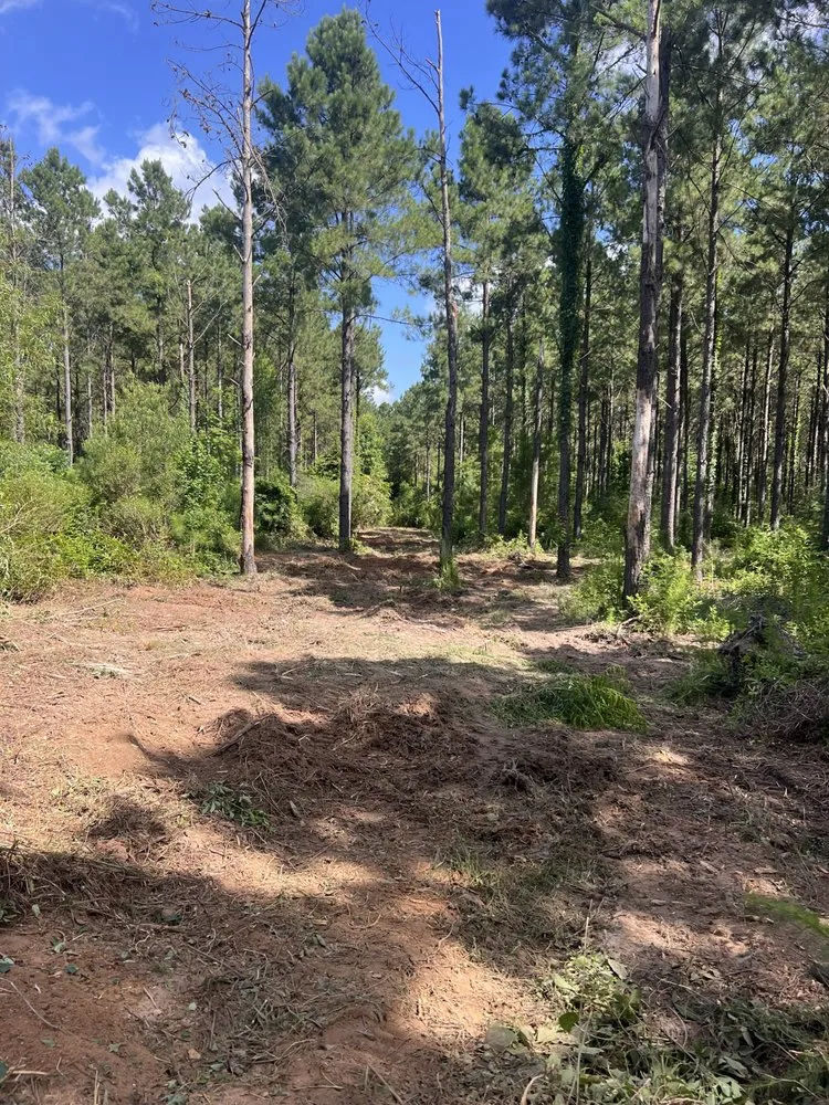 Custom outdoor landscaping experts serving Saint Martinville, LA - Kee’s Bush Hogging & Lawn Service