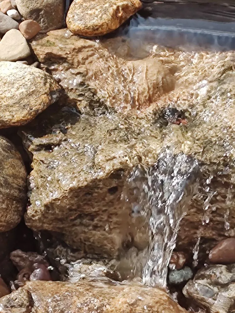 Expert residential landscaping for residential properties in Mount Sterling, KY by Keesee Excavating & Landscaping