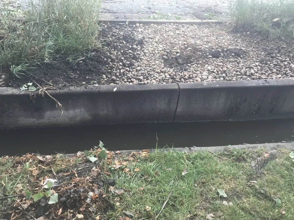 Reliable lawn care service in Englewood, CO - Keesen Landscape Management