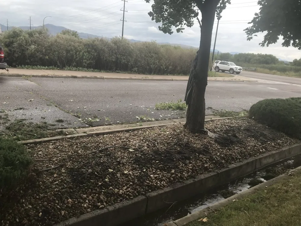 Affordable lawn care service with custom design in Englewood, CO by Keesen Landscape Management