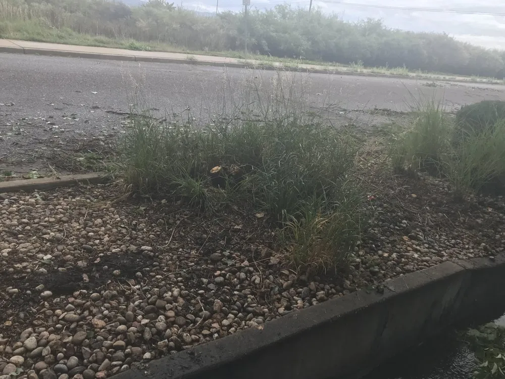 Local landscape installation for year-round maintenance across Englewood, CO - Keesen Landscape Management