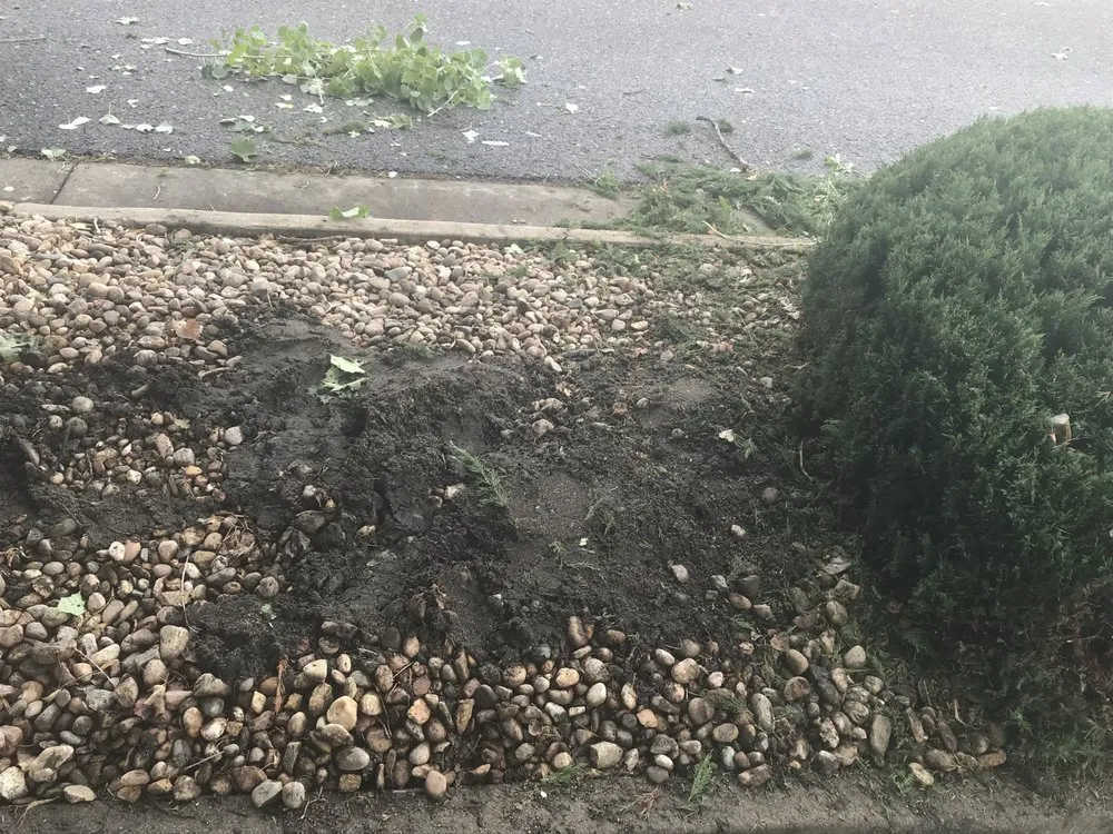 Custom garden landscaping for outdoor upgrades in Englewood, CO by Keesen Landscape Management