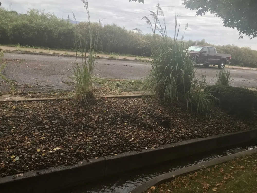 Trusted landscaping services for outdoor upgrades across Englewood, CO - Keesen Landscape Management