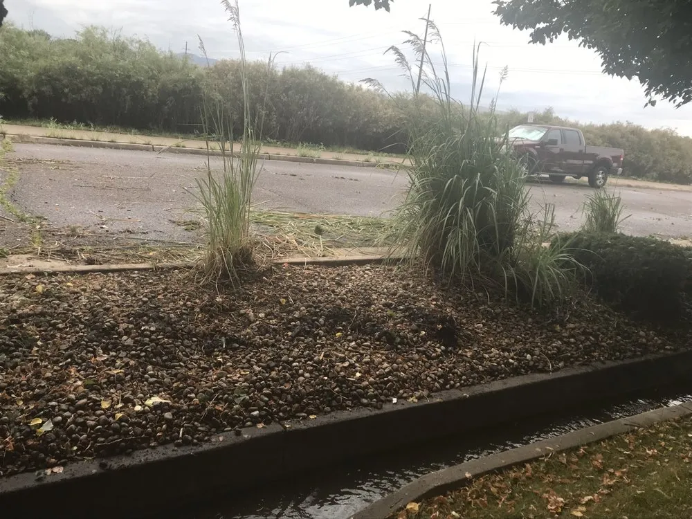 Expert garden landscaping experts serving Englewood, CO - Keesen Landscape Management