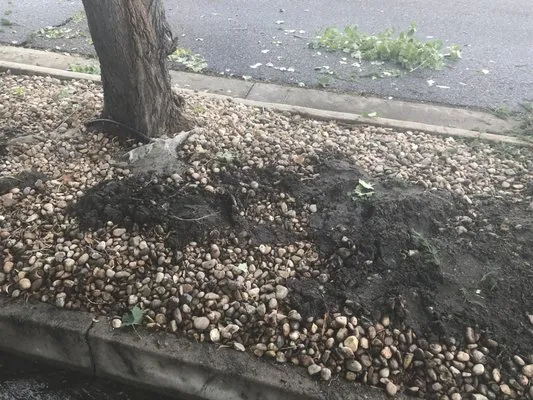 Keesen Landscape Management Logo