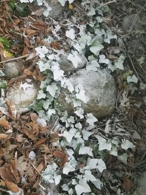 Keesling Home Maintenance