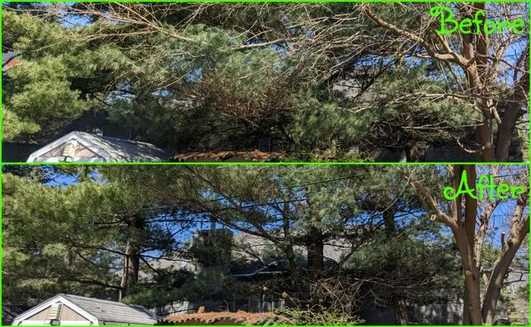 Keewahdin Home & Lawn