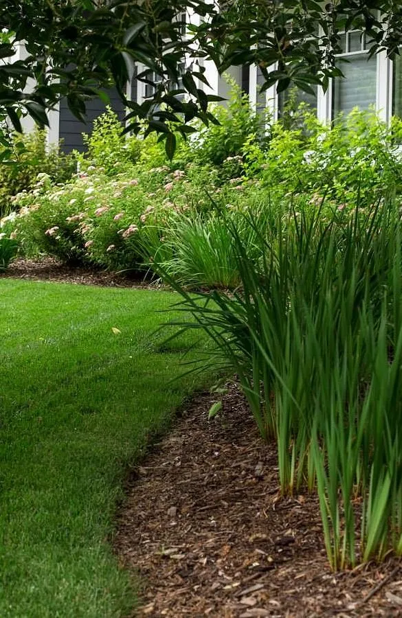 Trusted residential landscaping in Minneapolis, MN - Keewaydin Lawn Services