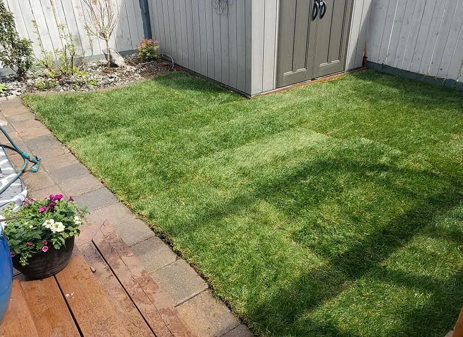 Trusted residential landscaping experts serving Minneapolis, MN - Keewaydin Lawn Services
