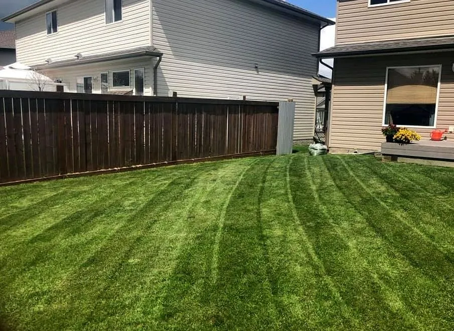 Expert landscape installation in Minneapolis, MN by Keewaydin Lawn Services