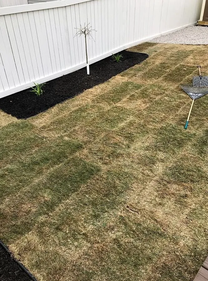 Top-rated landscape installation experts serving Minneapolis, MN - Keewaydin Lawn Services