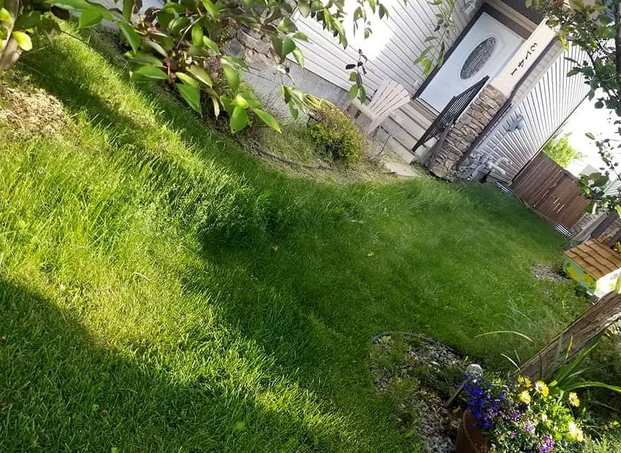 Affordable lawn mowing service for beautiful yards in Minneapolis, MN by Keewaydin Lawn Services
