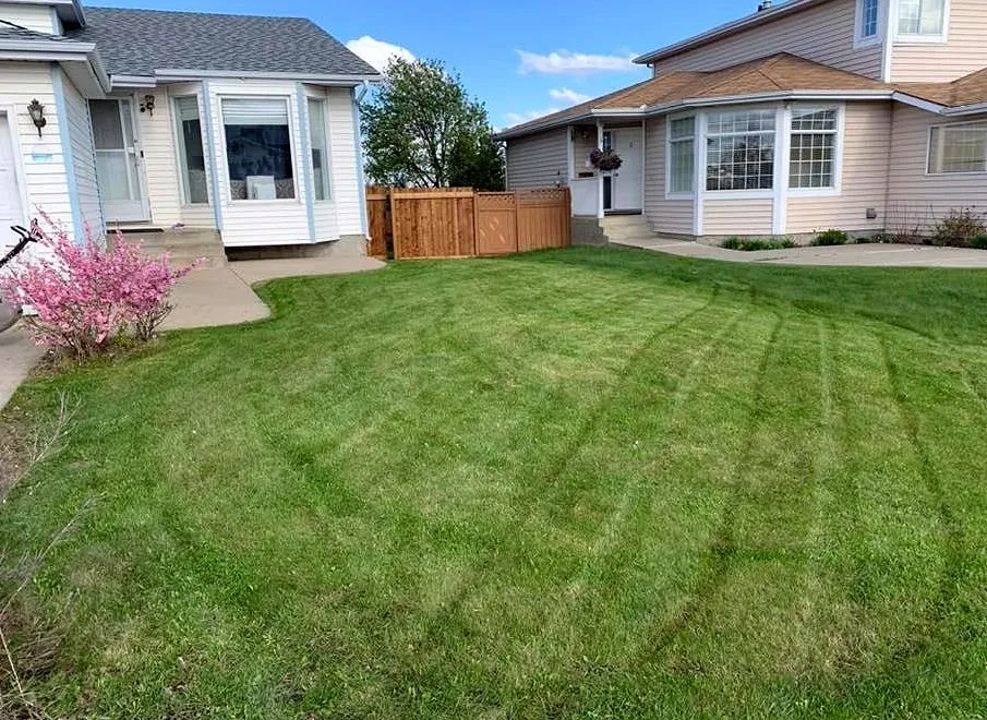 Expert residential landscaping experts serving Minneapolis, MN - Keewaydin Lawn Services