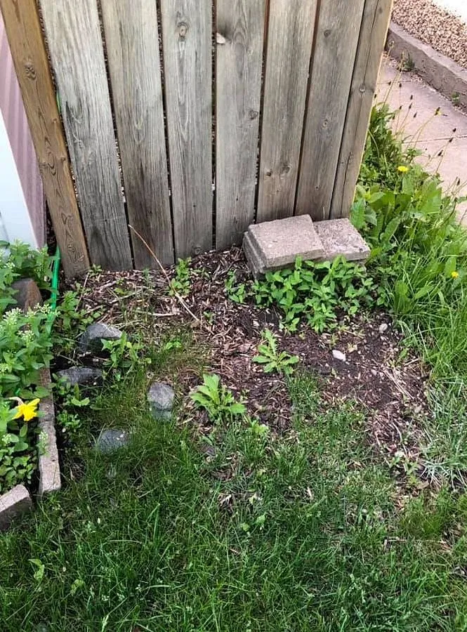 Local lawn care service in Minneapolis, MN by Keewaydin Lawn Services