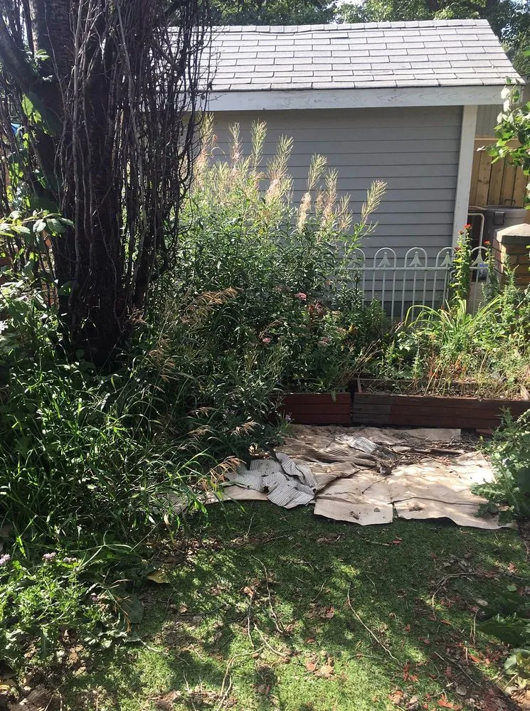 Affordable landscaping services experts serving Minneapolis, MN - Keewaydin Lawn Services