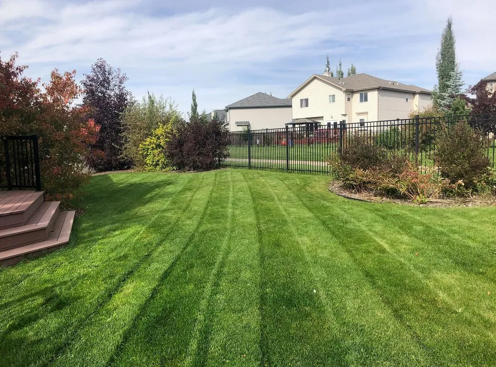 Trusted yard maintenance for year-round maintenance in Minneapolis, MN by Keewaydin Lawn Services
