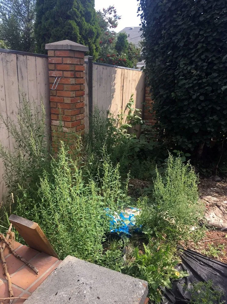 Expert landscaping services for residential properties across Minneapolis, MN - Keewaydin Lawn Services