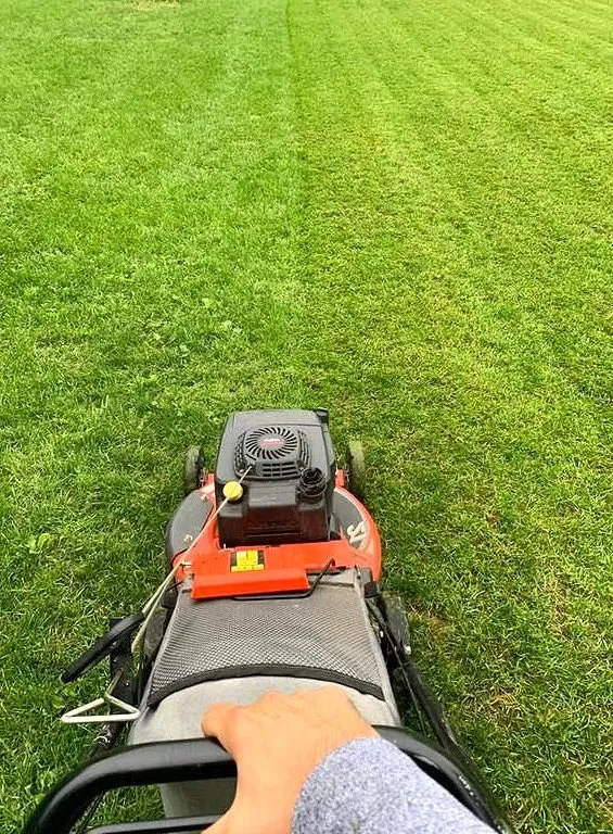 Reliable landscape design for outdoor upgrades across Minneapolis, MN - Keewaydin Lawn Services