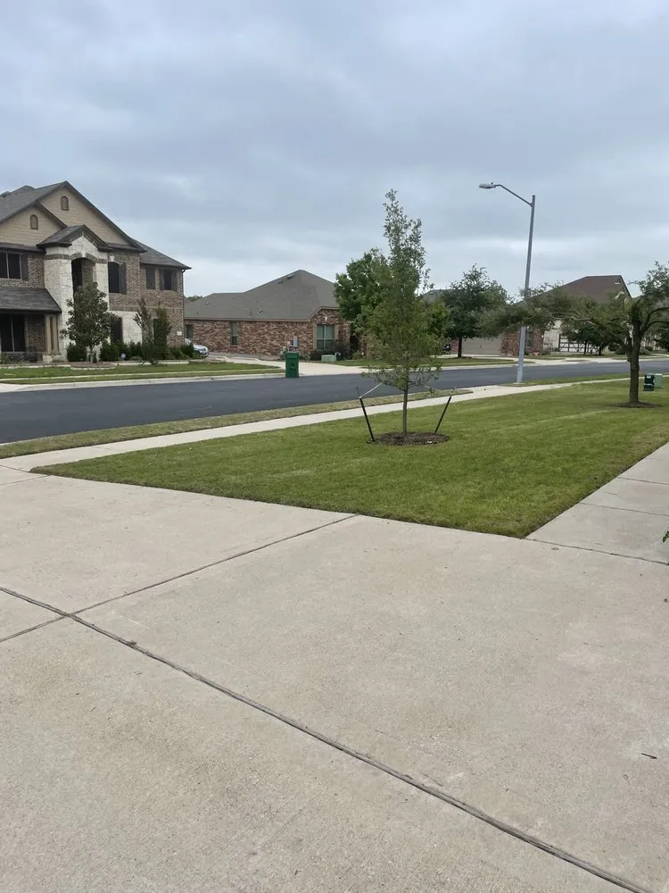Trusted lawn care service for year-round maintenance in Killeen, TX by Kei Quality Company