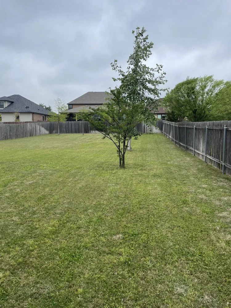 Affordable landscape design in Killeen, TX by Kei Quality Company