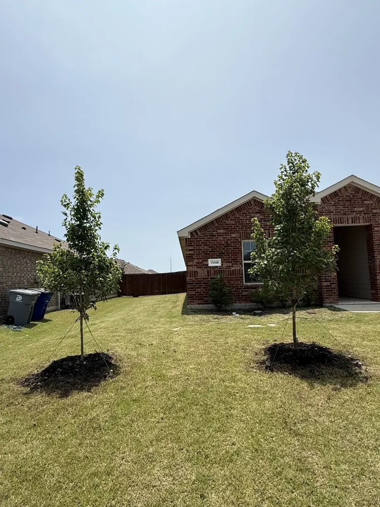 Local yard cleanup service in Crandall, TX - Keily's Landscaping Services