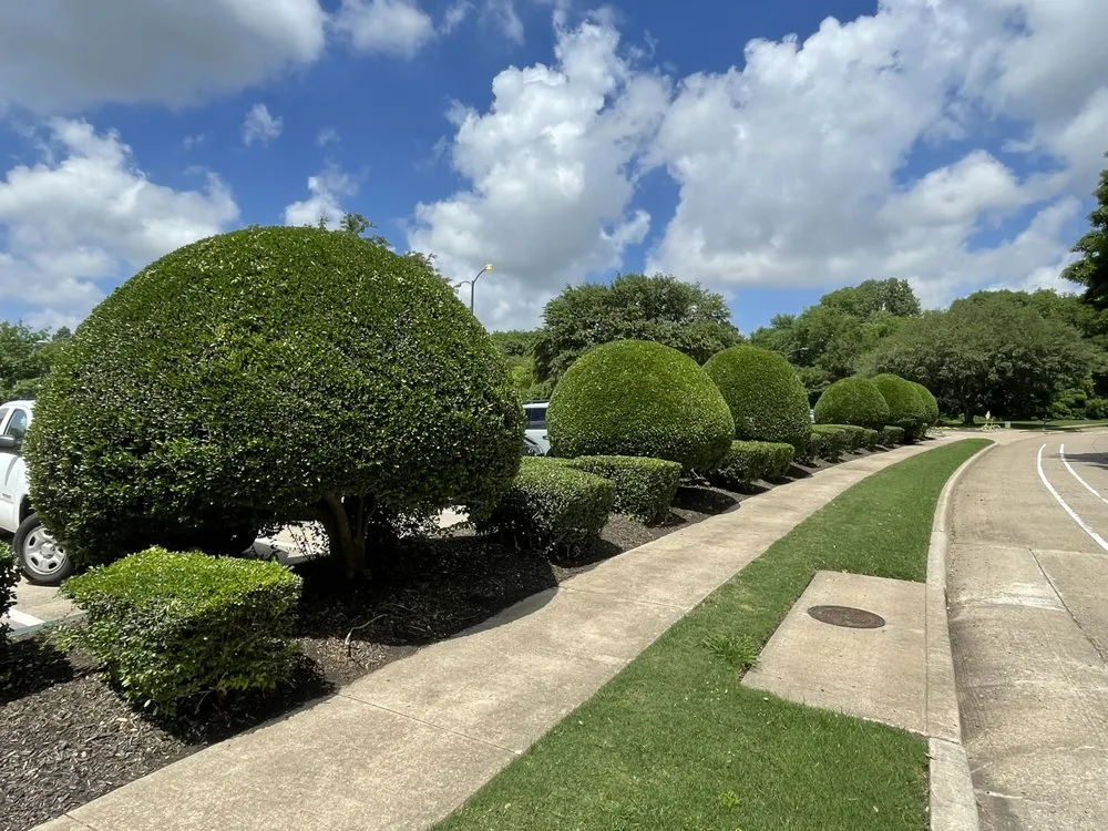 Local garden landscaping for beautiful yards in Crandall, TX by Keily's Landscaping Services