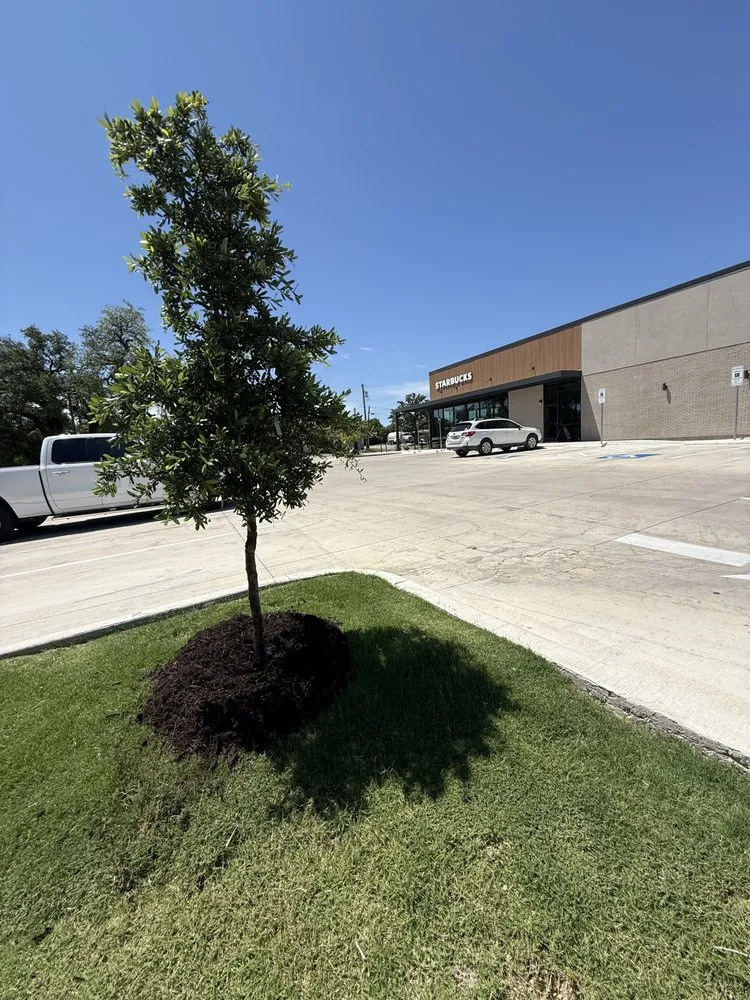 Reliable outdoor landscaping in Crandall, TX by Keily's Landscaping Services