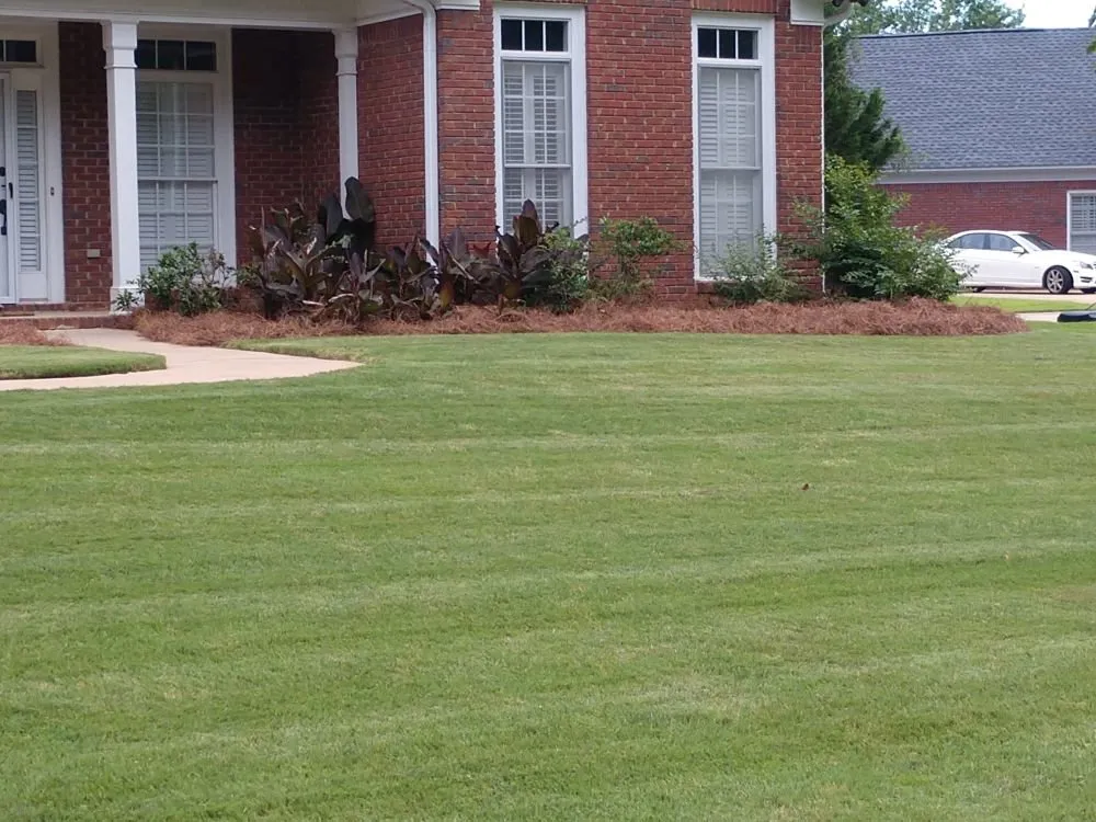 Professional lawn care service for outdoor upgrades across Cataula, GA - Keith Long's Lawn Care