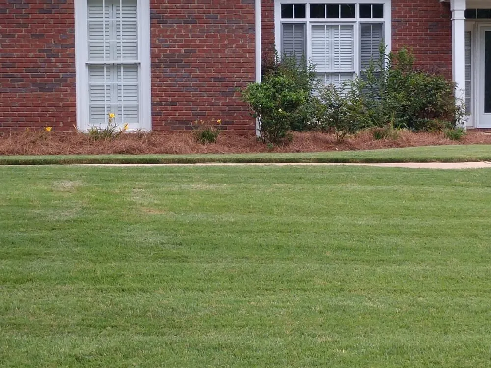 Top-rated yard cleanup service in Cataula, GA by Keith Long's Lawn Care