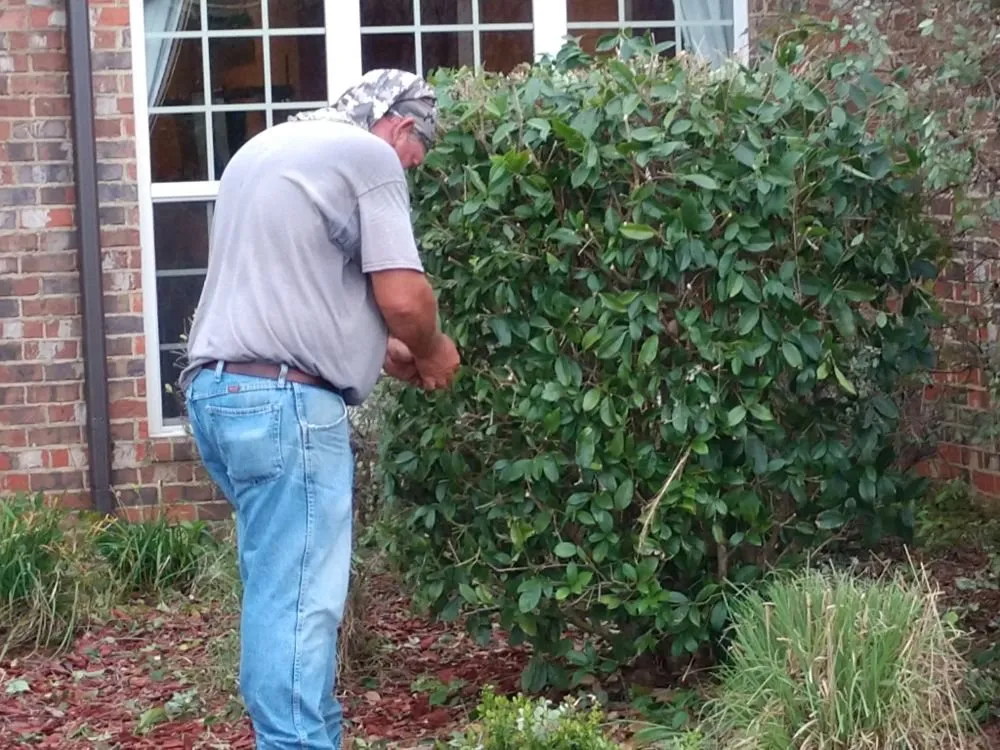 Professional garden landscaping in Cataula, GA by Keith Long's Lawn Care