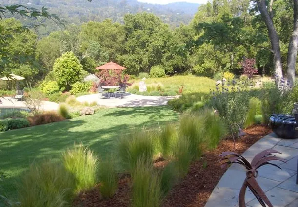 Expert yard maintenance in Menlo Park, CA by Keith Willig Landscape Architecture