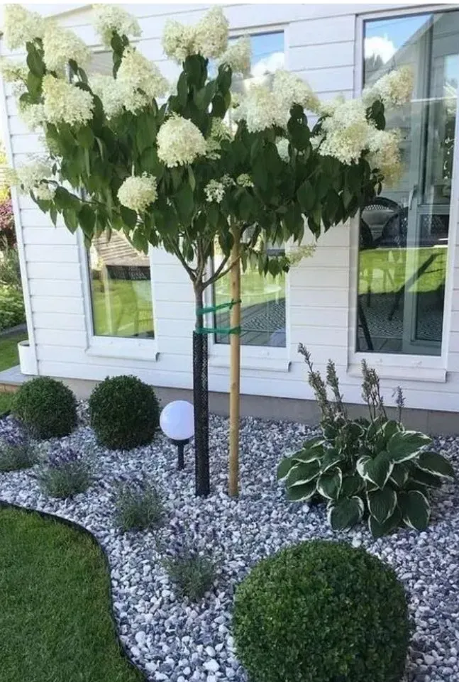 Affordable lawn care service for homes in Fairfield Glade, TN by Keithan's Services