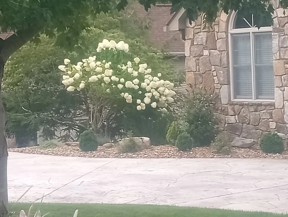 Custom yard cleanup service near you across Fairfield Glade, TN - Keithan's Services