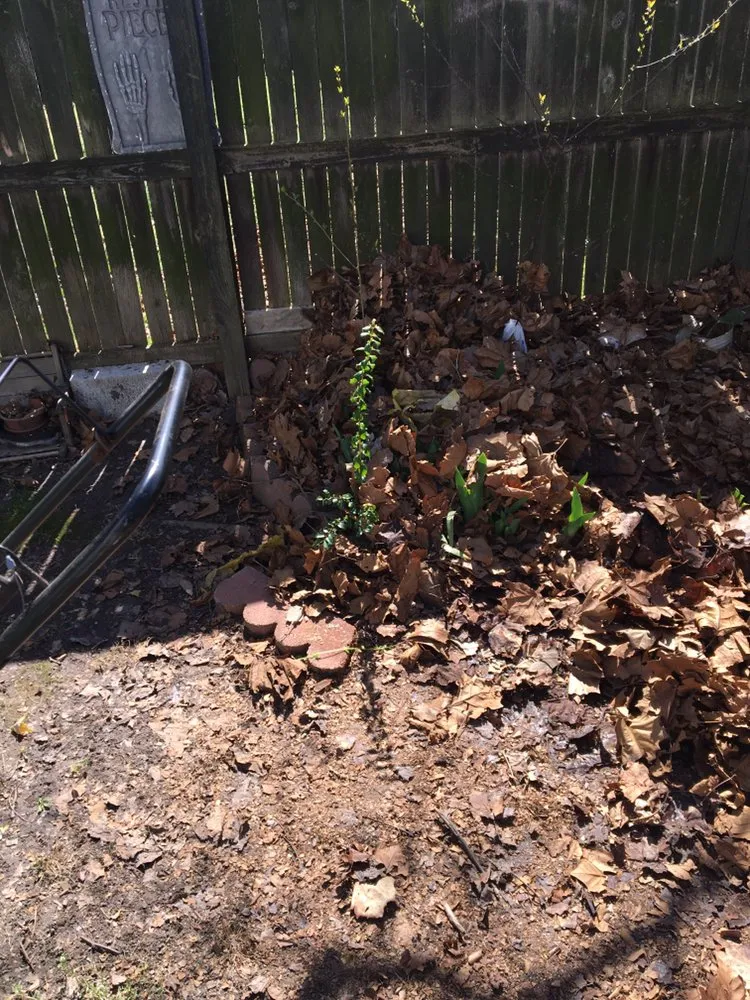 Affordable yard cleanup service in Norfolk, VA - Keith's All Year Round Services