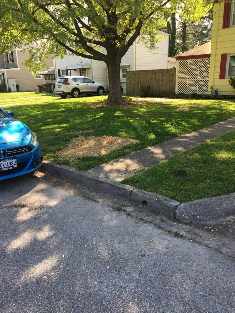 Trusted lawn care service for beautiful yards in Norfolk, VA by Keith's All Year Round Services