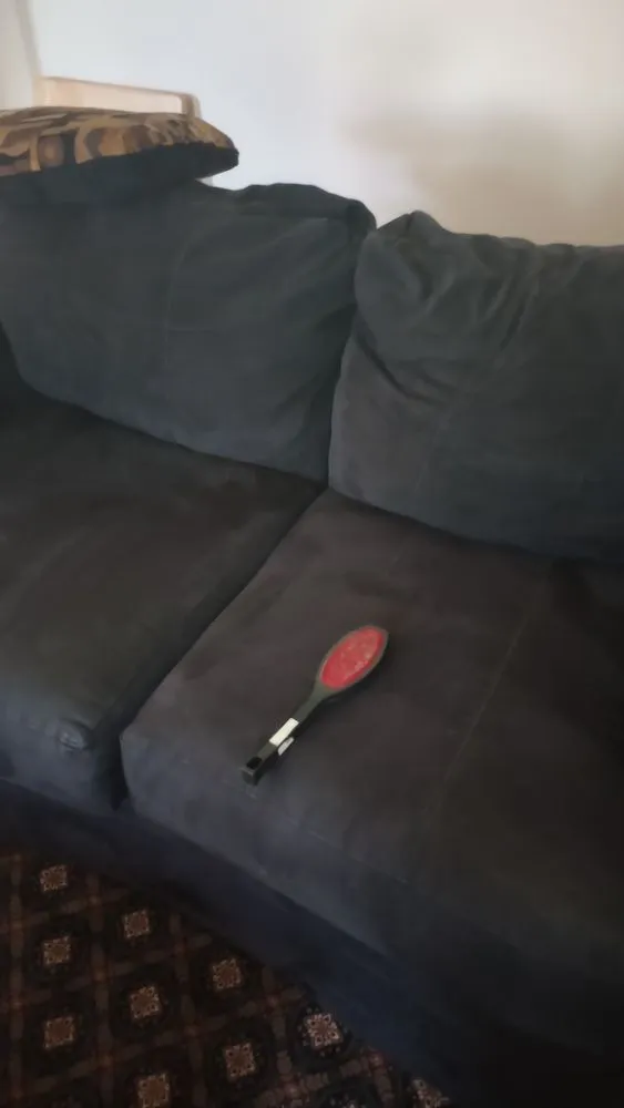 Professional yard maintenance for beautiful yards in Norfolk, VA by Keith's All Year Round Services